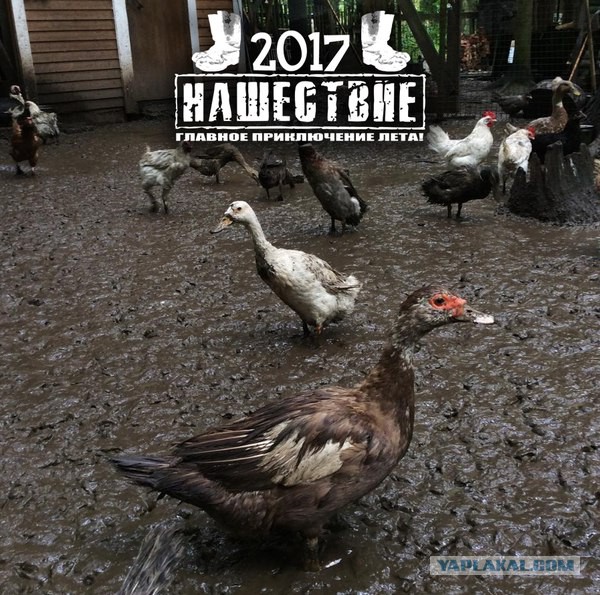 "Нашествие" - "Главное злоключение лета"