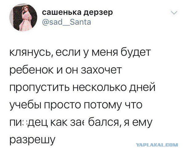 Смешные комментарии из социальных сетей 01.12.2017