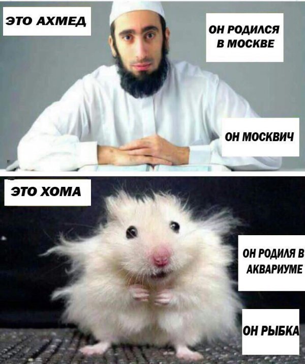 В РАН заявили о выросшей вдвое эмиграции высококвалифицированных специалистов