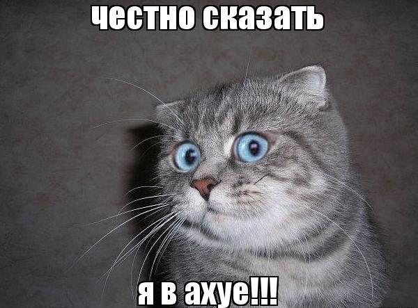 РПЛ 2018-2019(часть II)