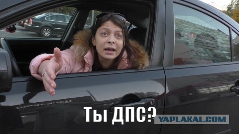 СтопХам - "Сходненская Няша"