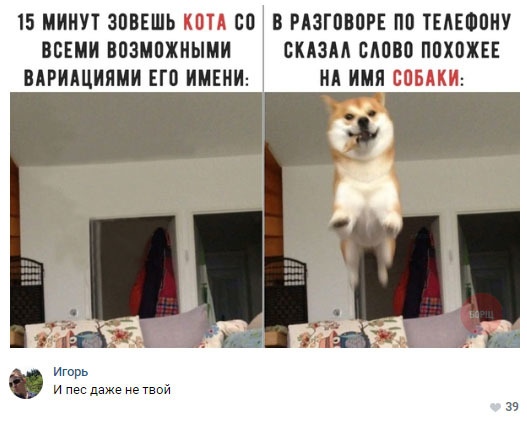 Немного картинок для настроения 29.11.19
