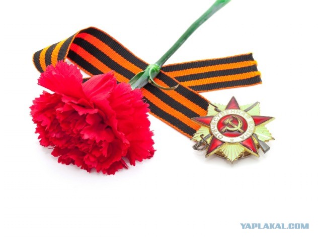 Сколько осталось настоящих ветеранов войны?