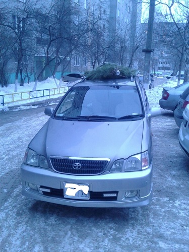А кто на чем передвигается?