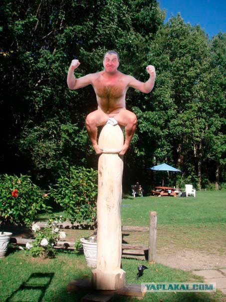 Голый морж