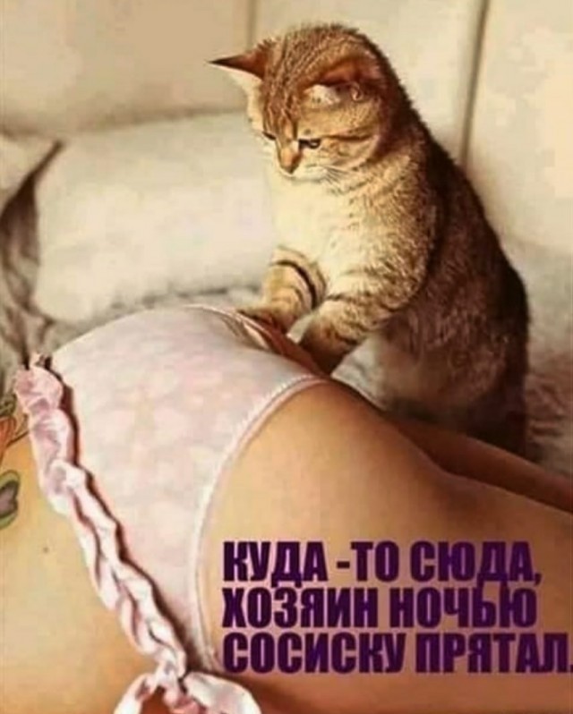 Пятница. И немного слегка пошлых картинок с надписями и без 16+ (24.07)