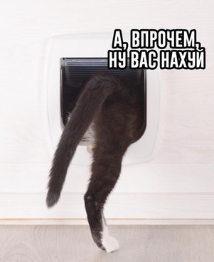 Пандемия. Коронавирус. Россия и мир. Последняя информация. Часть 19