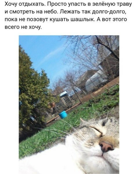 Картинки и мемы для настроения 006
