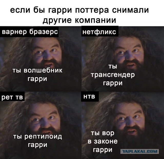Пикчеслив 16.01.21