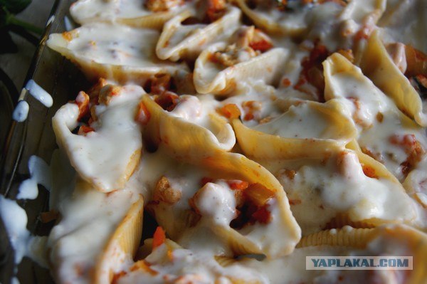 Макаронные ракушки