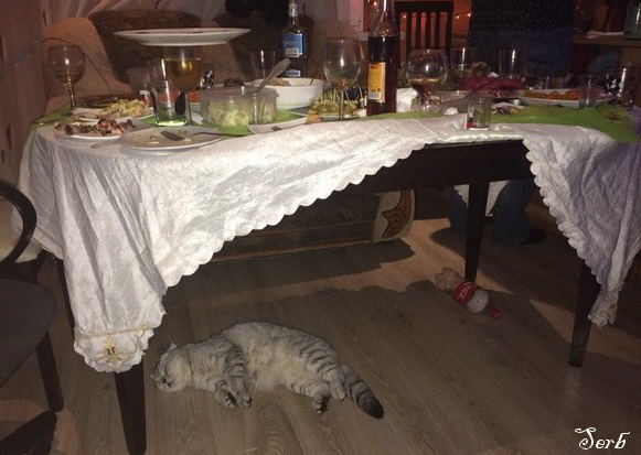 Наелся