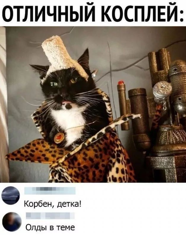 Скриншоты и комментарии из социальных сетей 16.06.22