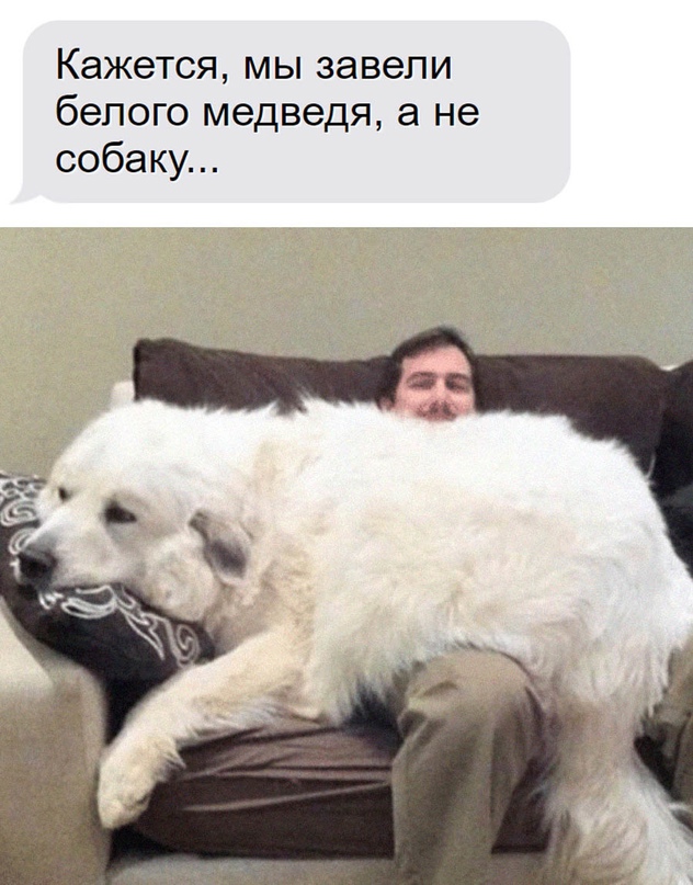Картинки и мемы для настроения - 17