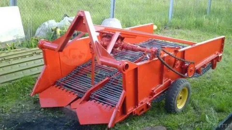 Белорусы ищут свой путь