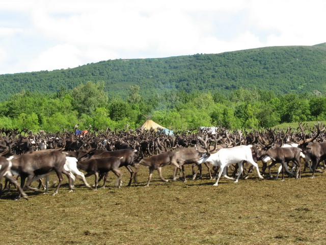 Петропавловск-Камчатский и его окрестности...