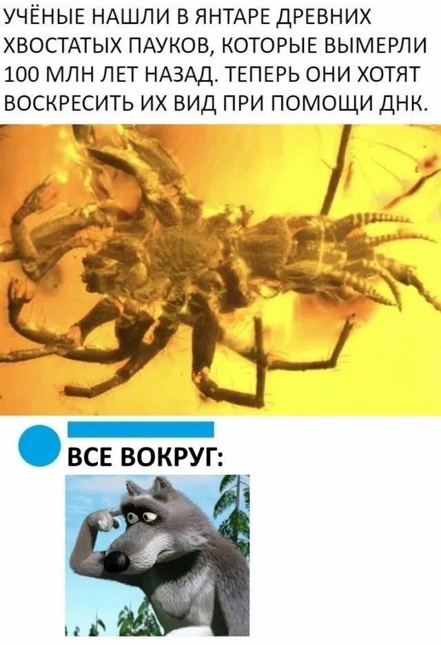 Черного юмора малость