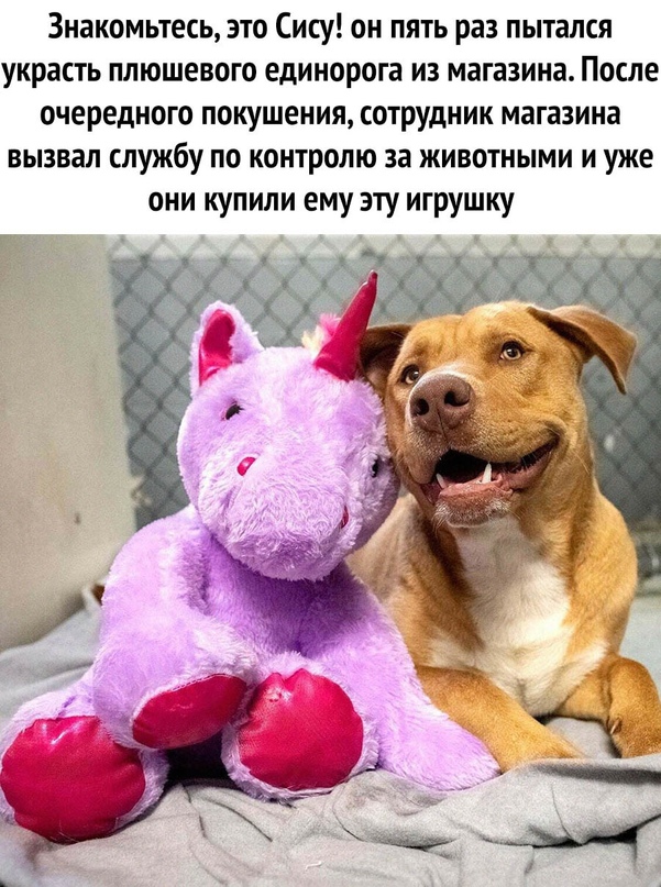 Немного картинок для настроения - 137