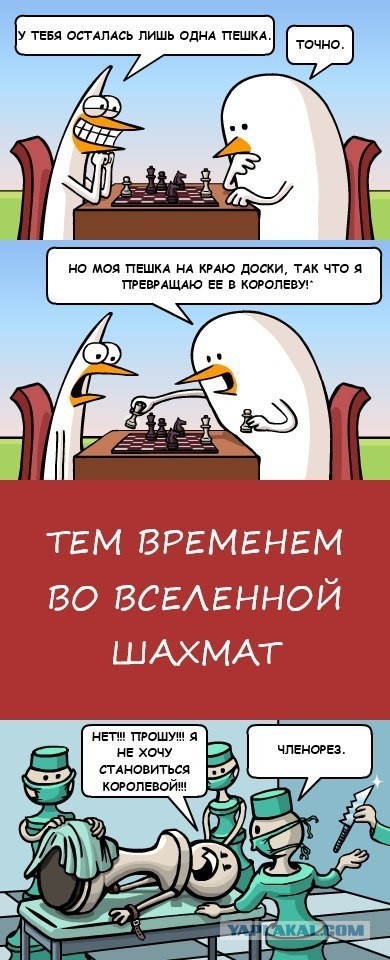 Всего понемногу. Выпуск от 13.03.