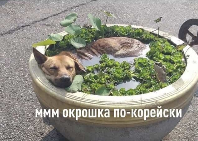 Баянистая всячина с оттенком черноты и деградации