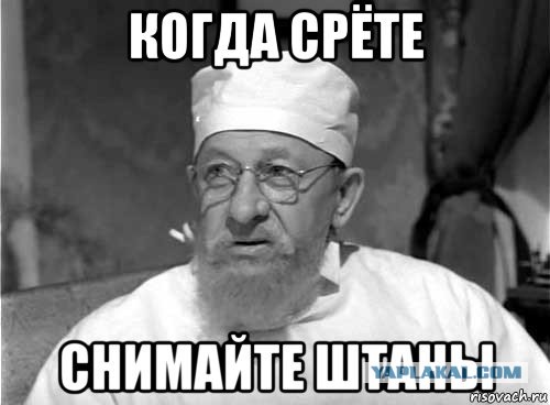 Жена пилота Уральских авиалиний написала Путину, чтобы мужа не увольняли