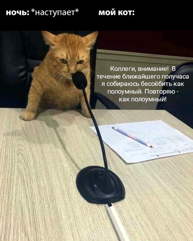 Дело к ночи