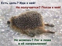 Деревенская Америка - 10