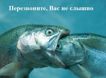 Веселое настроение в картинках (19.08.2025)
