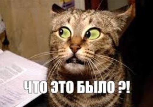 Проклятый фуровод, вот чё стоит.