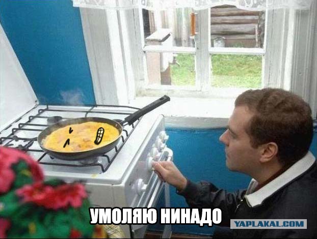 Фотожаба: Медведев жарит яишницу