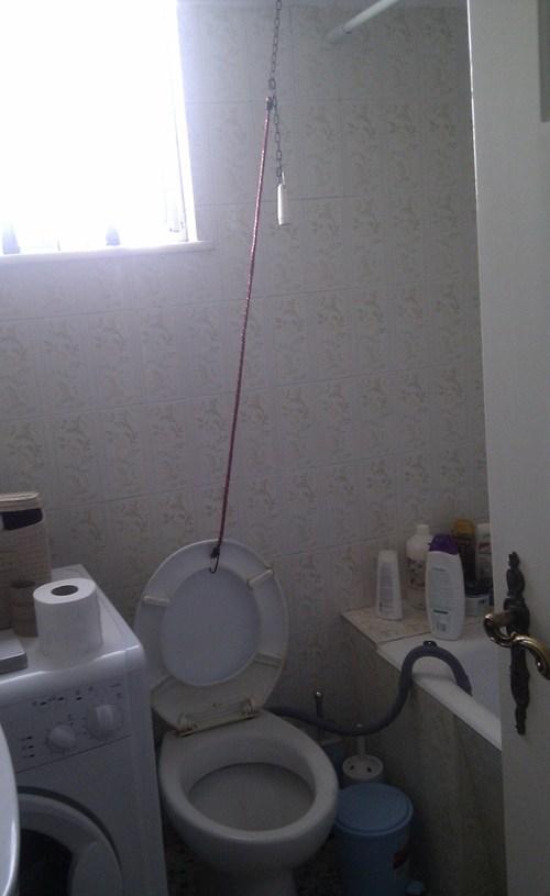 Весёлые картинки