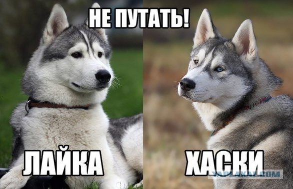 Так! Щас мы с ним разберемся!