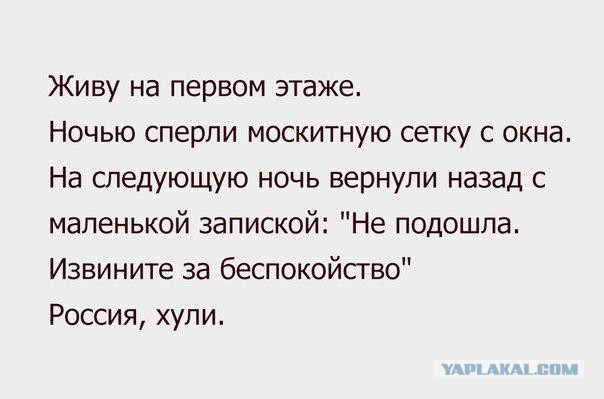 15 картинок с тЫрнета