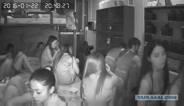 За что я люблю китайцев