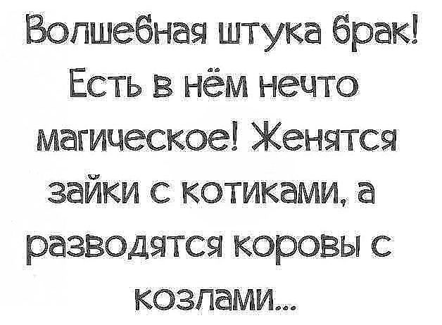 Всякая всячина.