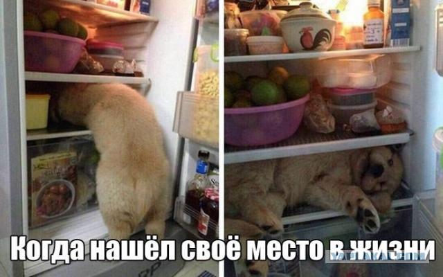 Подборка картинок