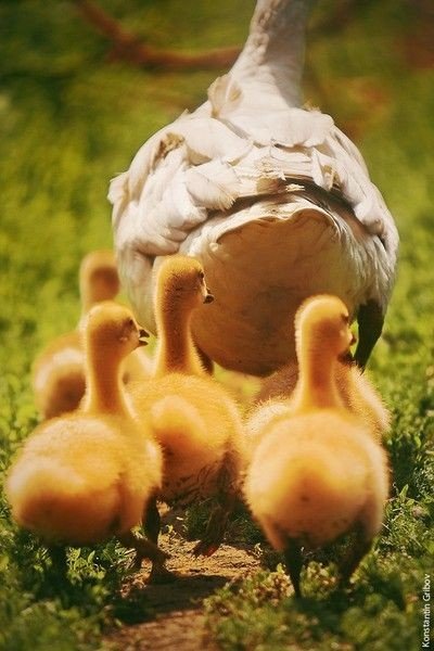 Интересные и веселые картинки