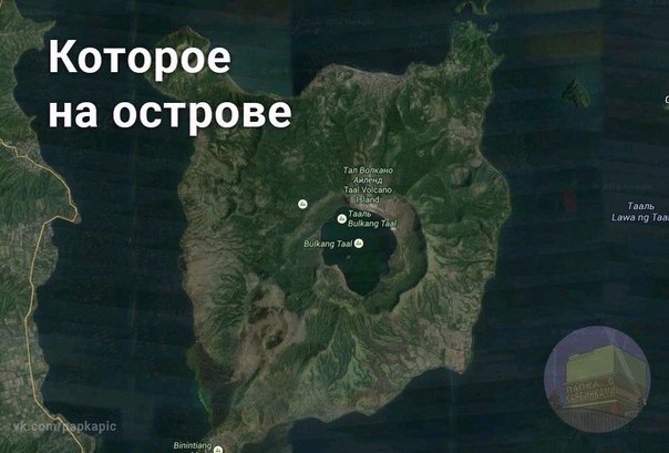 Подборка прикольных фото