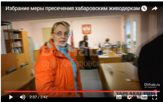 Хабаровских живодерок посадили в тюрьму