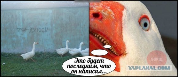 Для тех, кто хочет лечь спать пораньше