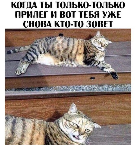 Приколюхи в стиле "Когда..."