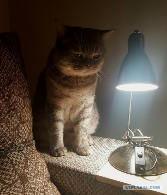 Лажа с женой II