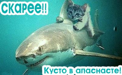 Полезные вещи в доме!