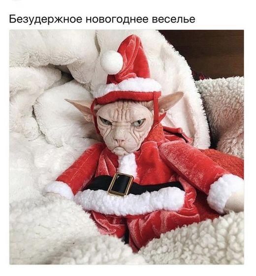 Подборка интересных и веселых картинок