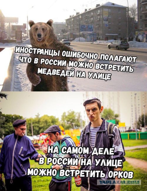 Подборка интересных и веселых картинок