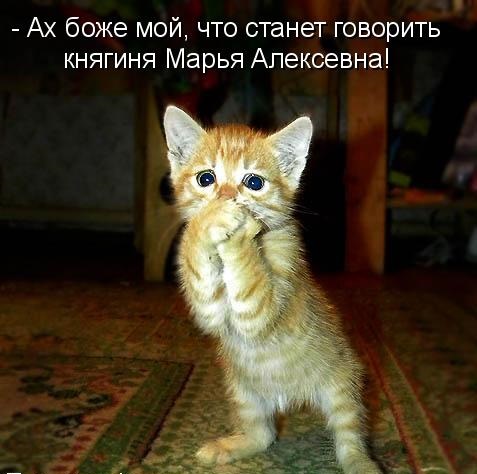 «Что люди скажут!»