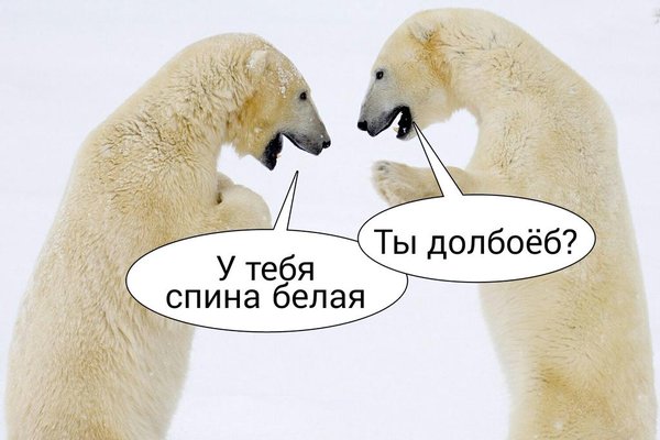 Прикольные картинки обо всём