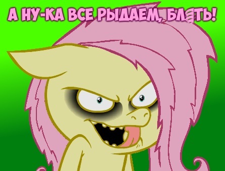 Итоги проверки пользователей