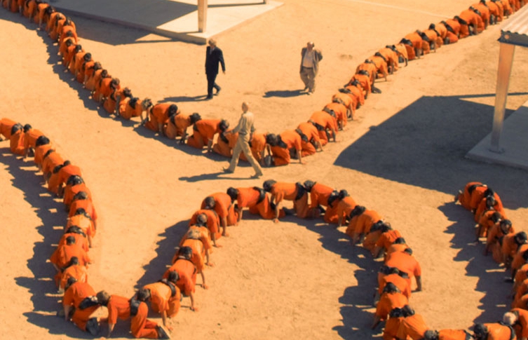 Человеческая многоножка схема сшивания