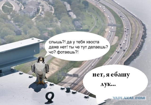 А вы альпинист, да? А у вас страховка, да?