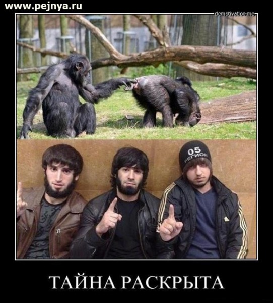 Чернушка